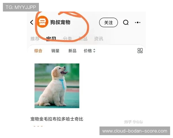 大型体育赛事预热必看篮球App防骗避坑指南 大型体育赛事预热必看篮球App防骗避坑指南